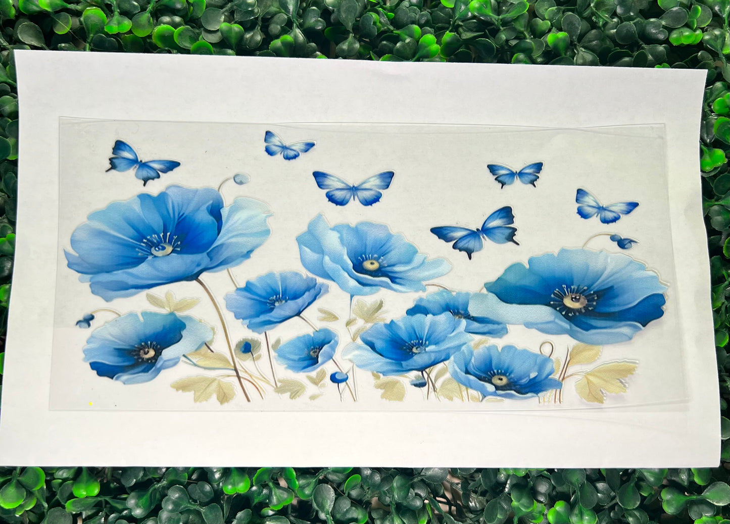 Blue butterflies and flowers