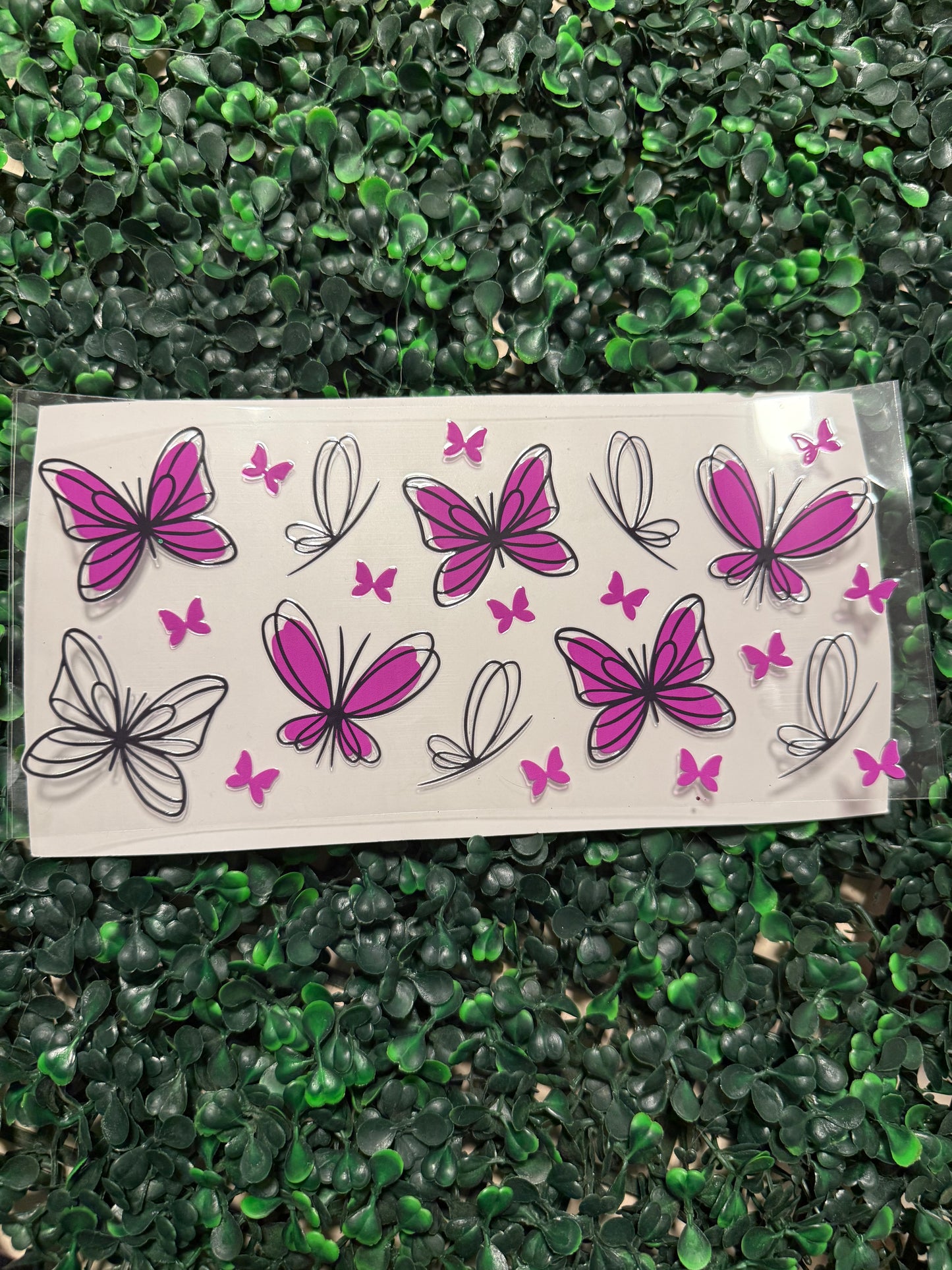 Pink and black outline butterflies butterfly