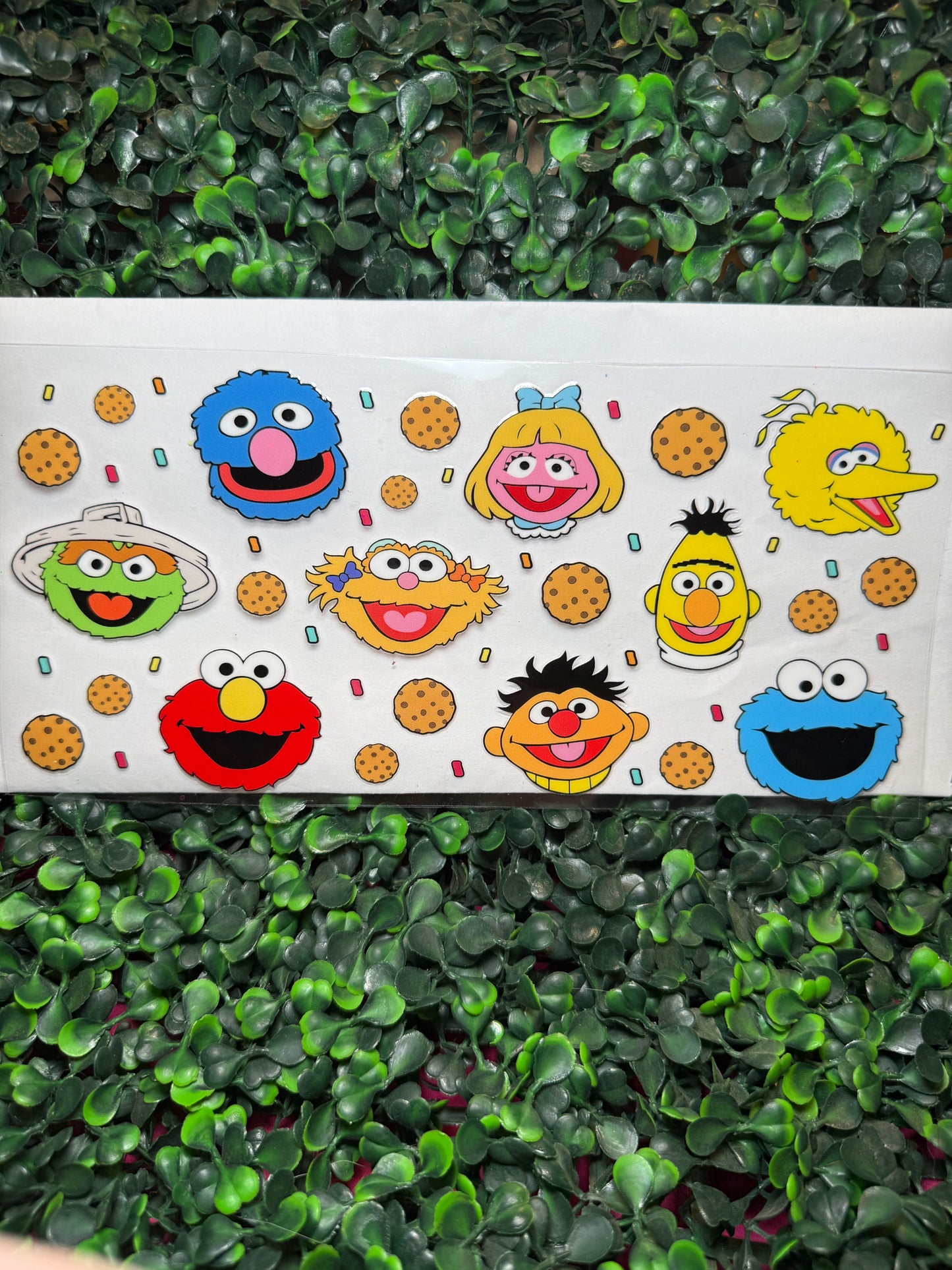 Sesame Street Decal
