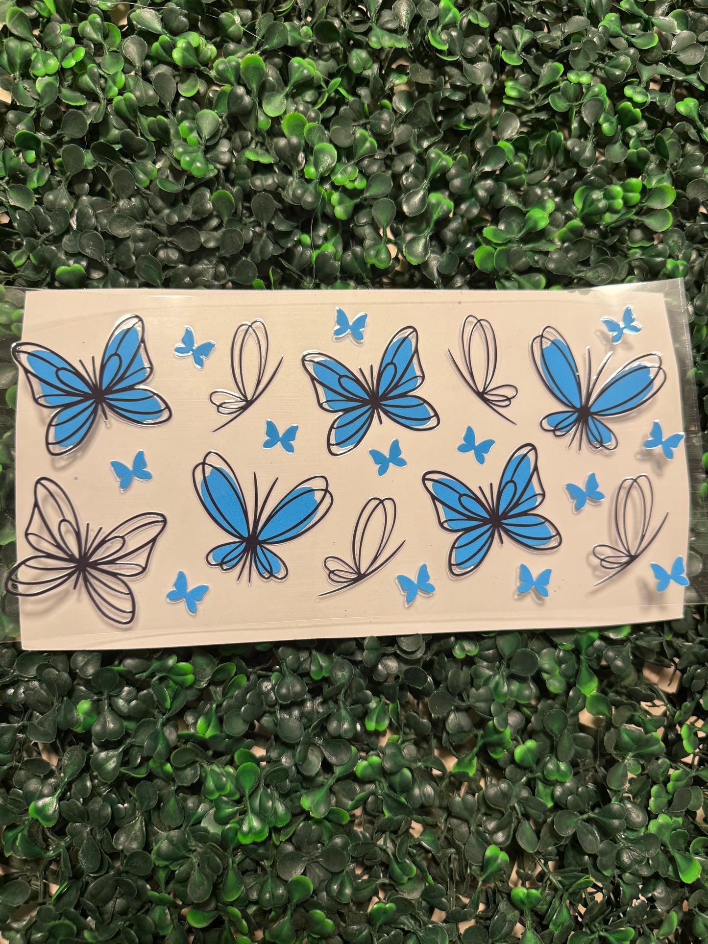Blue and black outline butterflies butterfly