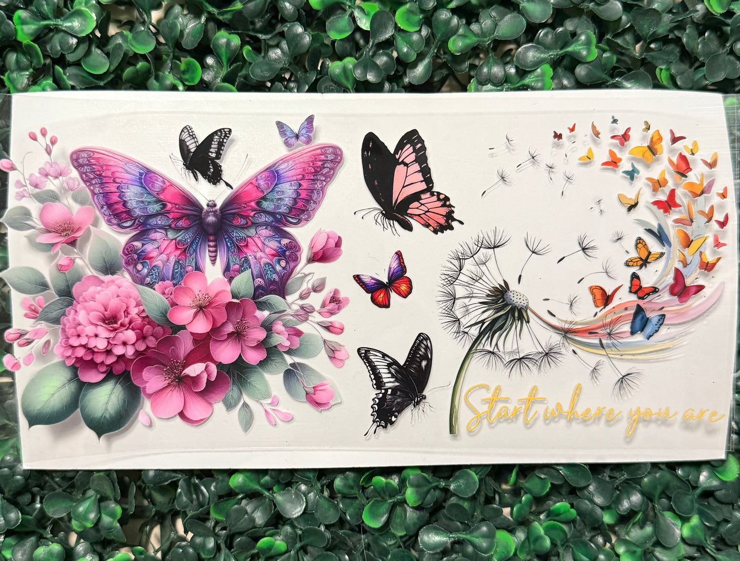 Start where you are butterflies