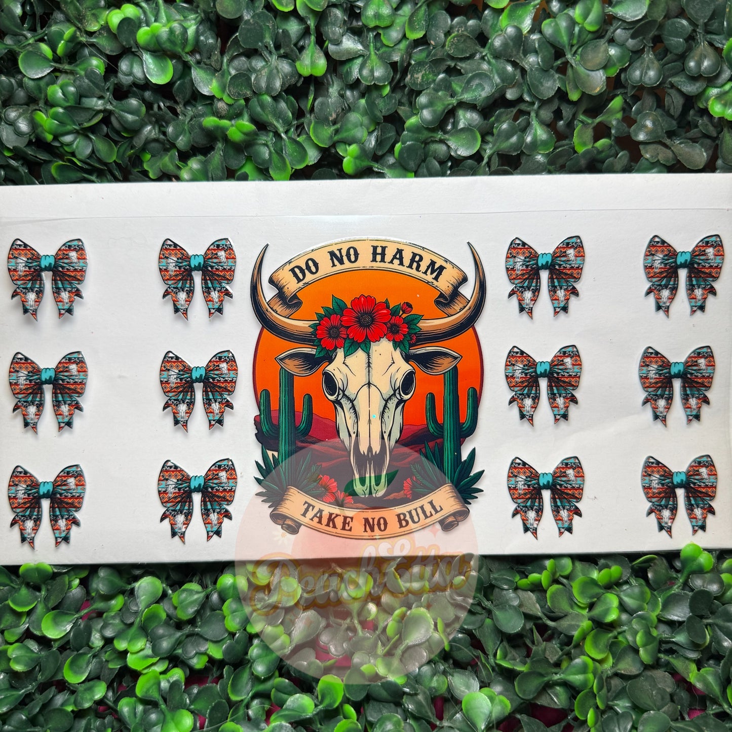 Take No Bull Western Decal