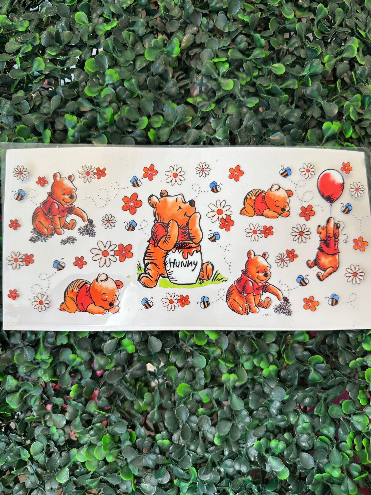 Winnie the Pooh