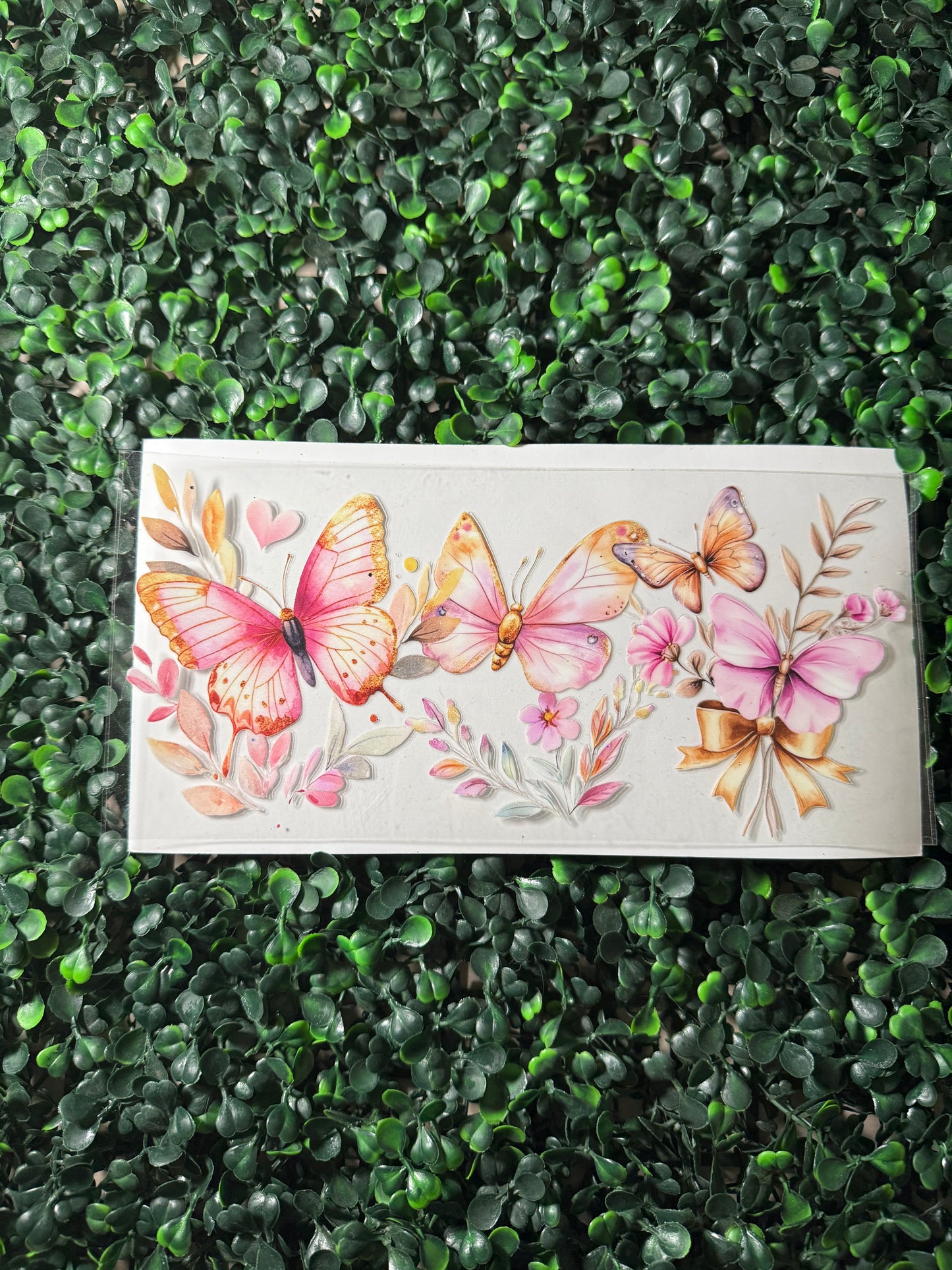 Pink gold butterfly butterflies