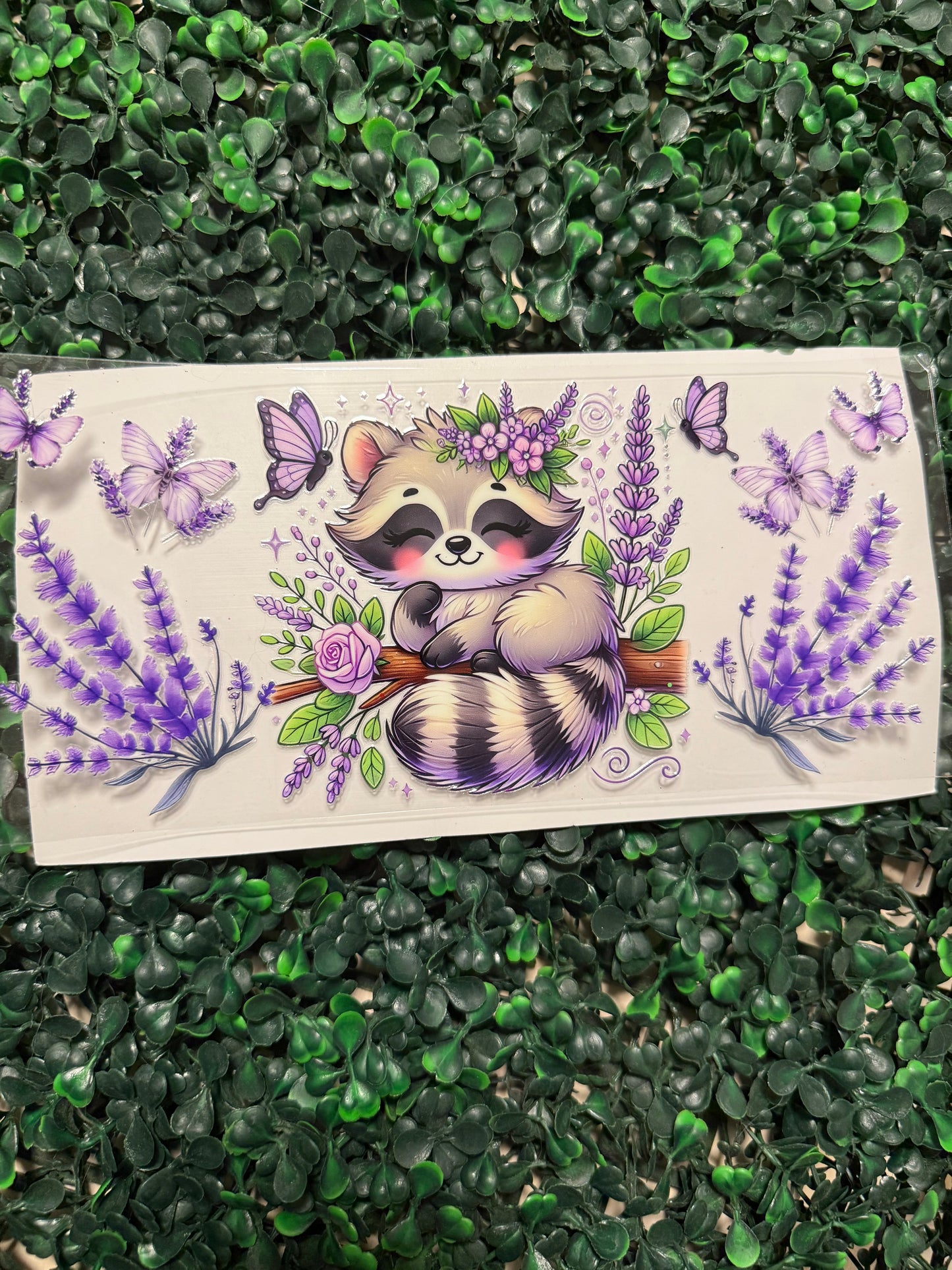 Raccoon with lavender and butterflies