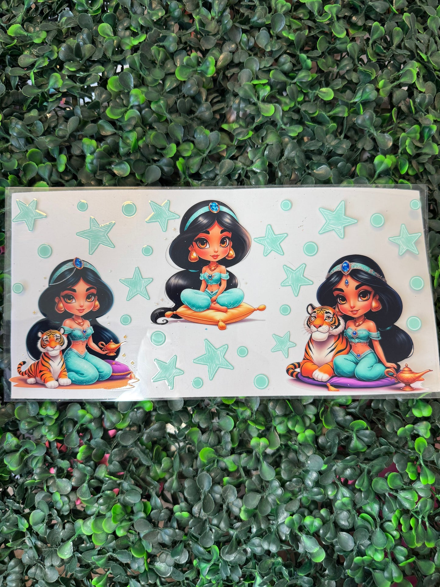 Aladdin jasmine