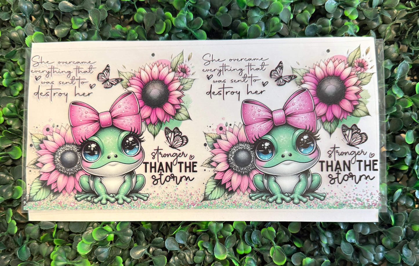 Frog stronger than the storm 