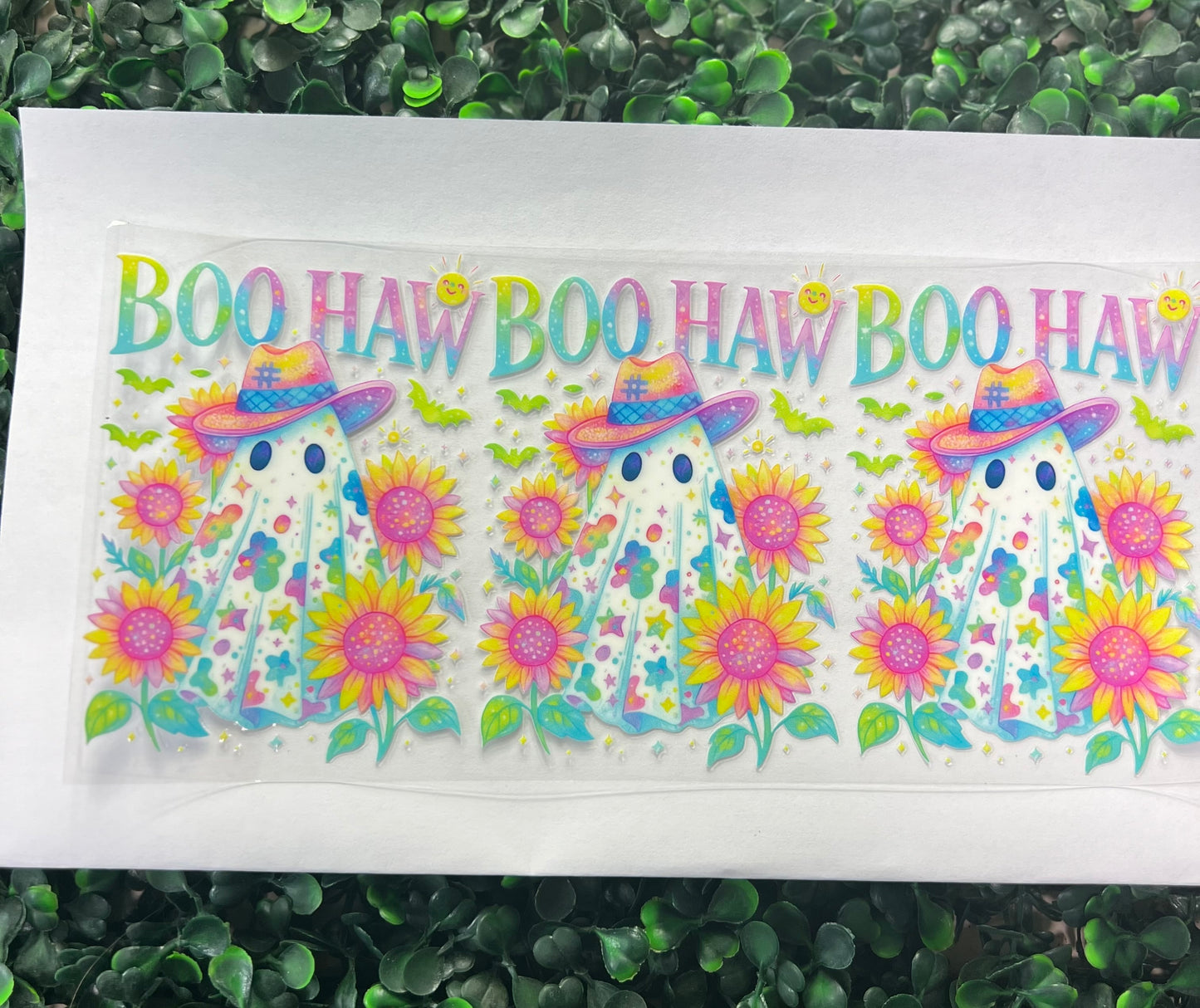 Boo haw