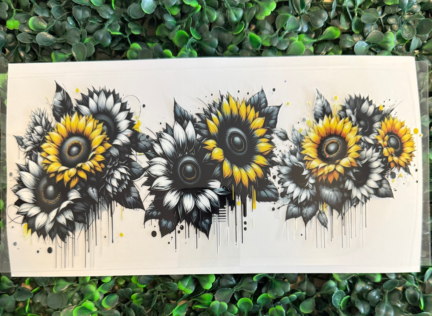 Sunflowers with black outline