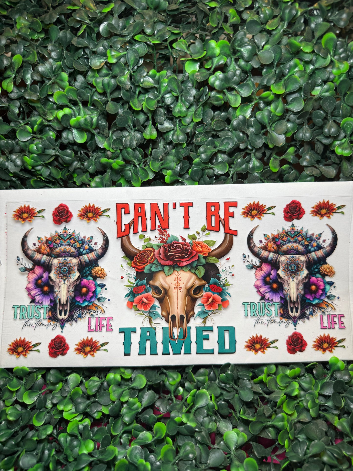 Can’t Be Tamed Western Decal