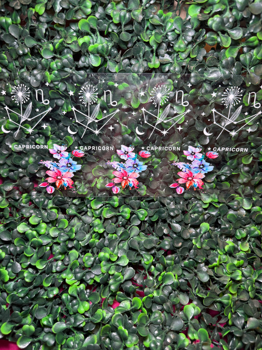 Capricorn Horoscope Decal