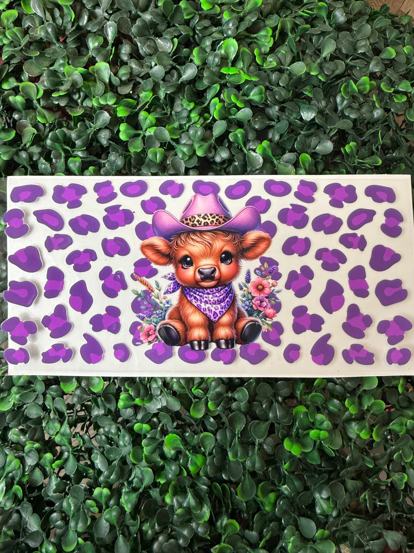 Highland cow cheetah wrap