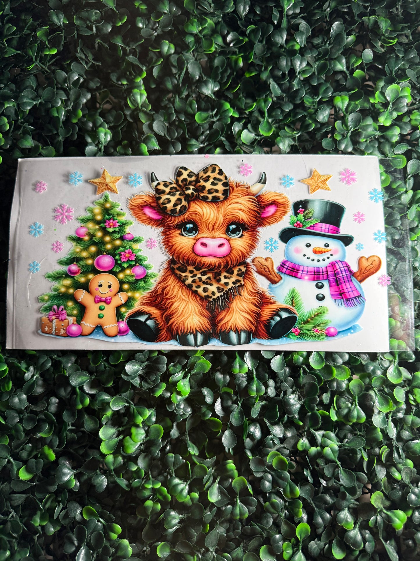 Cheetah scarf and bow cow