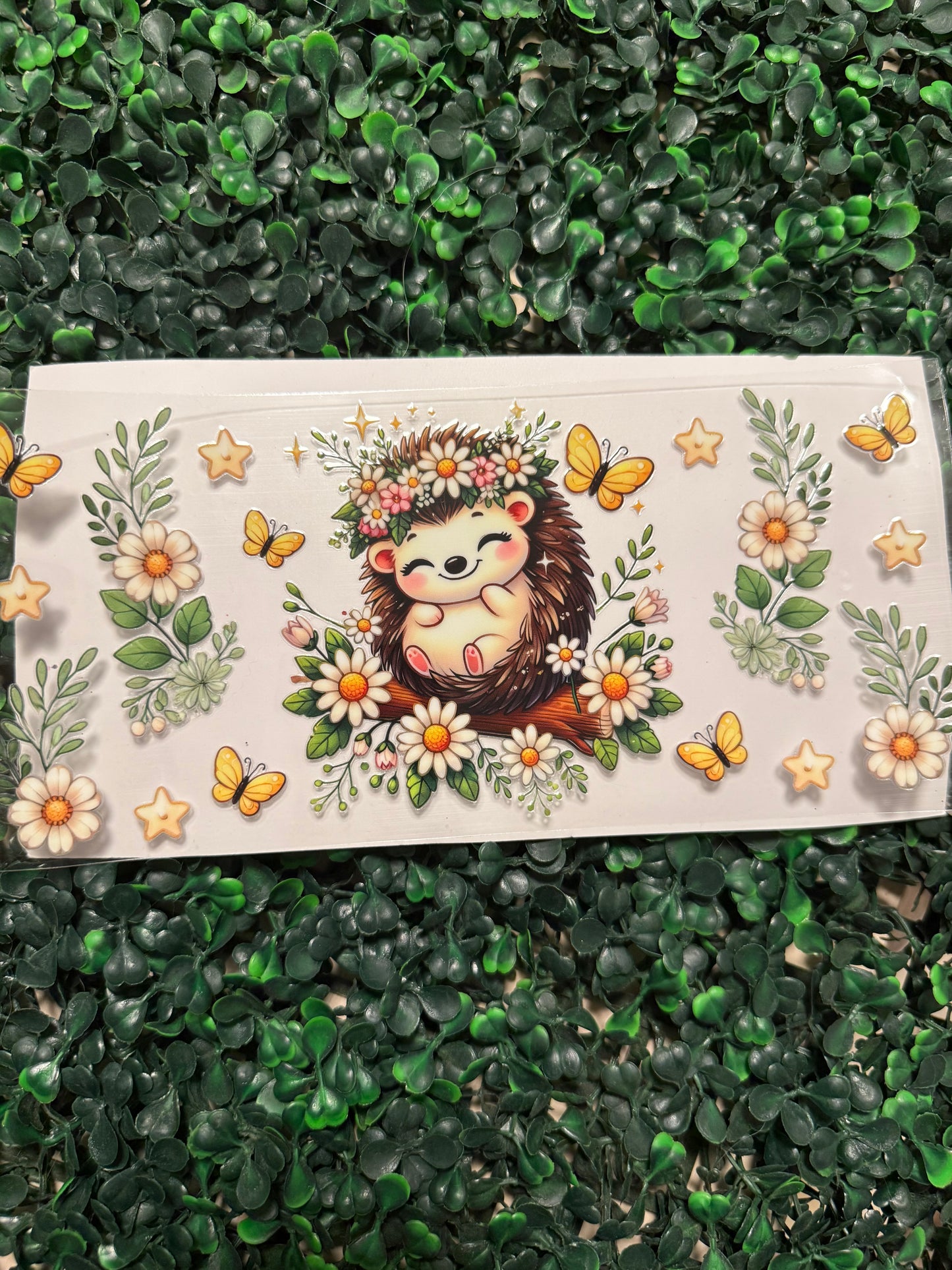 Hedgehog with daisies and butterflies