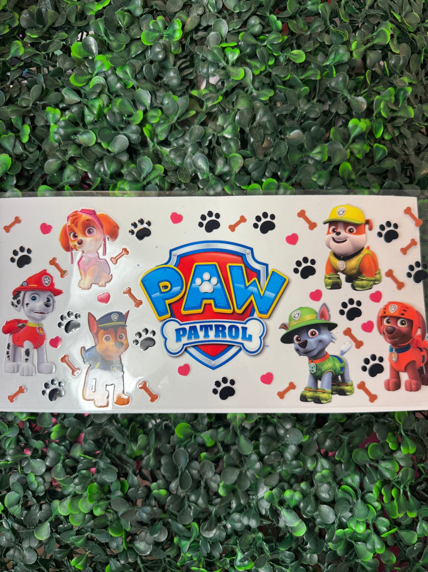 Paw patrol
