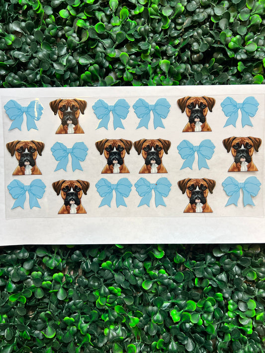 Blue bows american boxer dog wrap