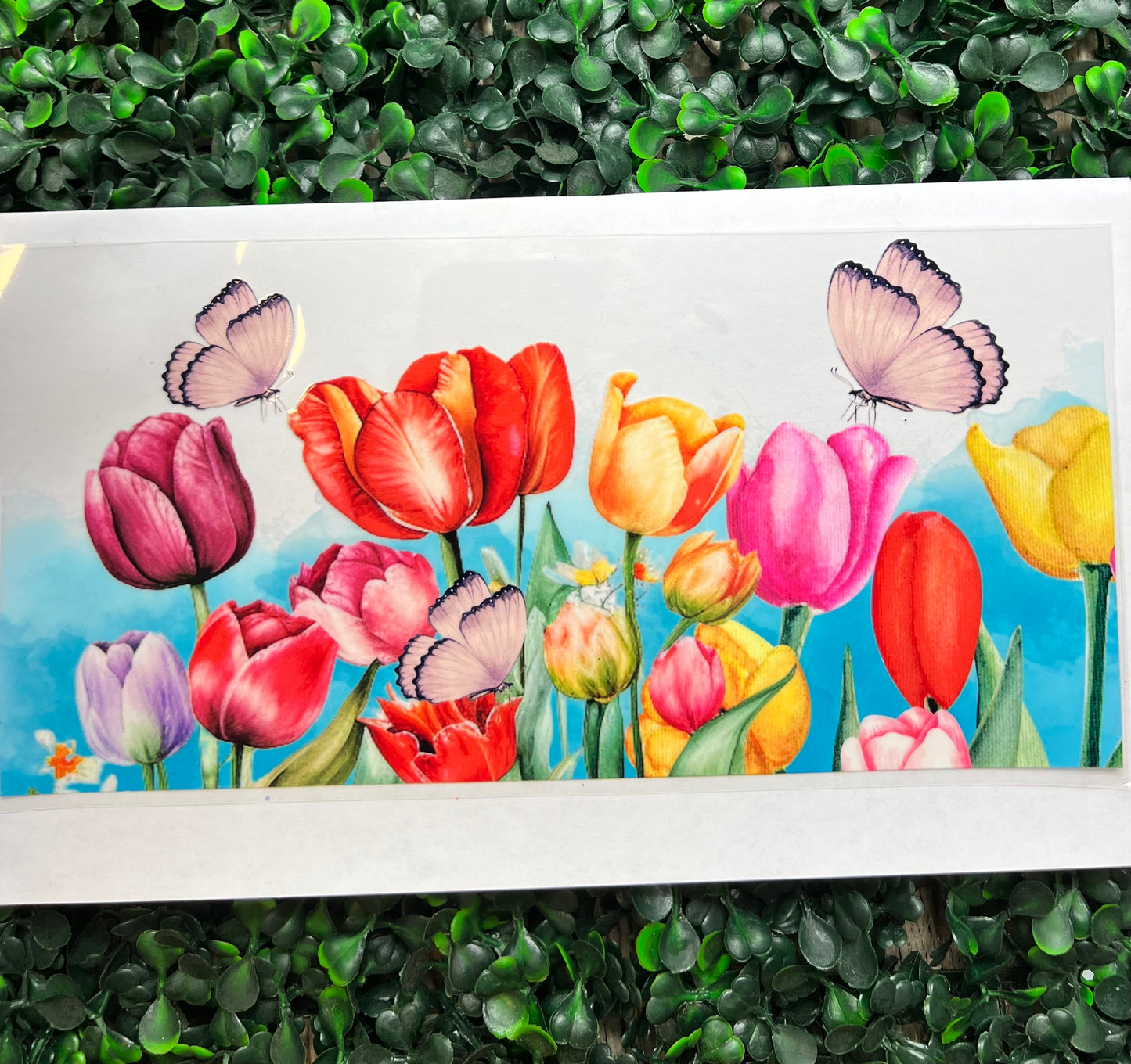 Tulip flowers wrap