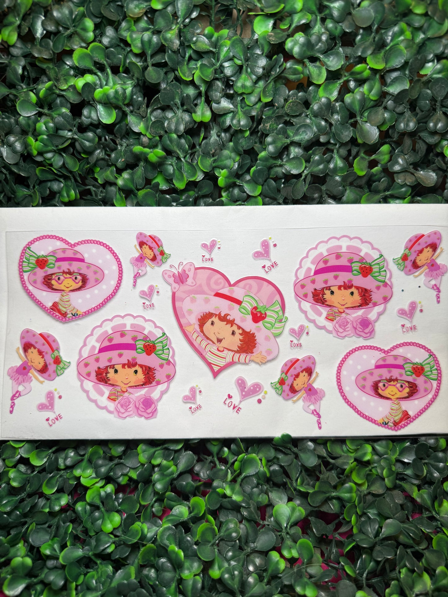 Strawberry Shortcake 1 wrap