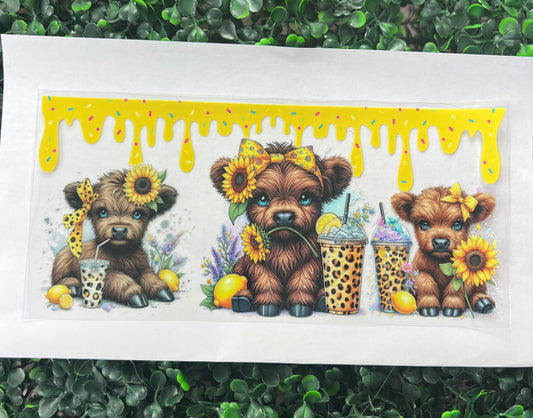 Lemon drip Highland cow