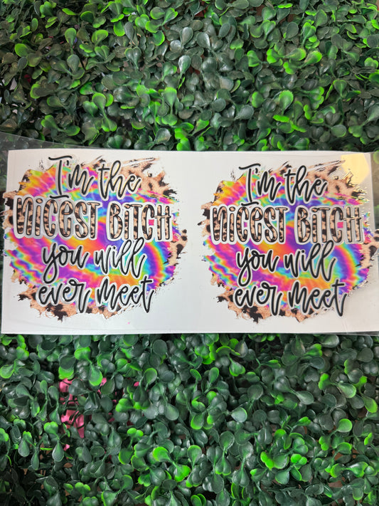 I’m the nicest bitch you’ll ever meet