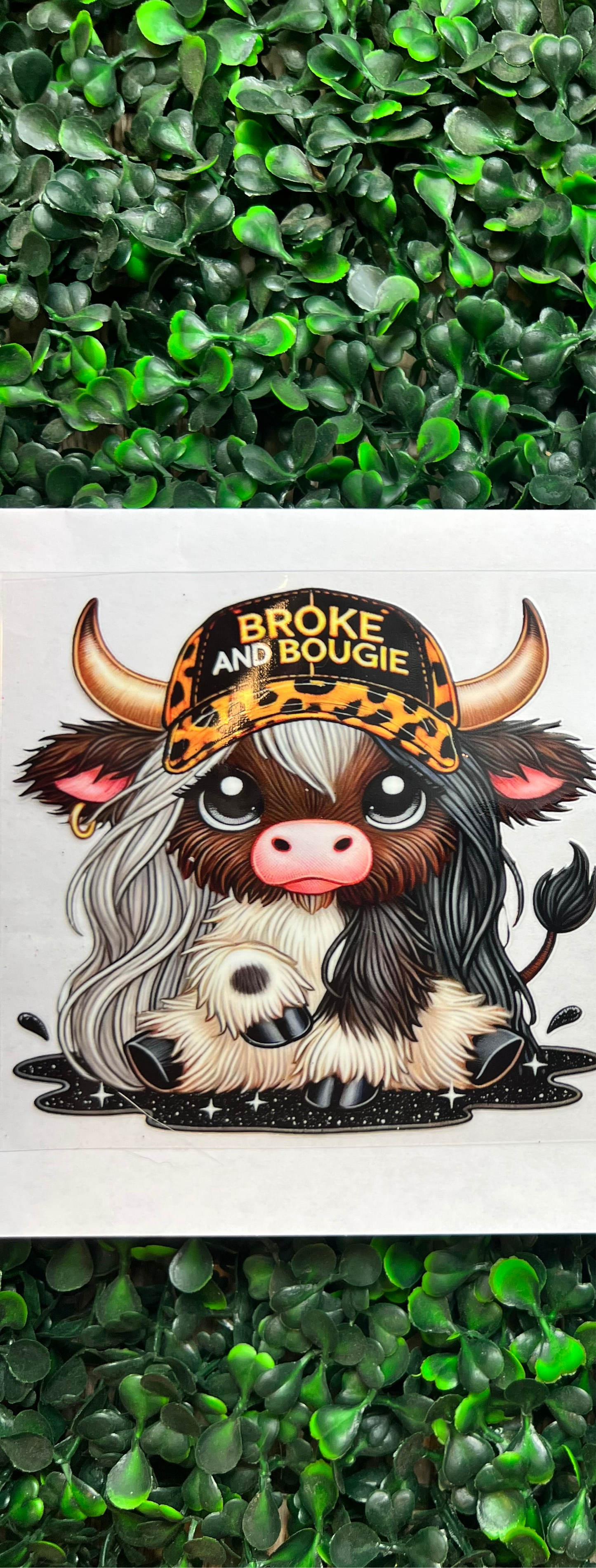 Bougie highland cow Decal