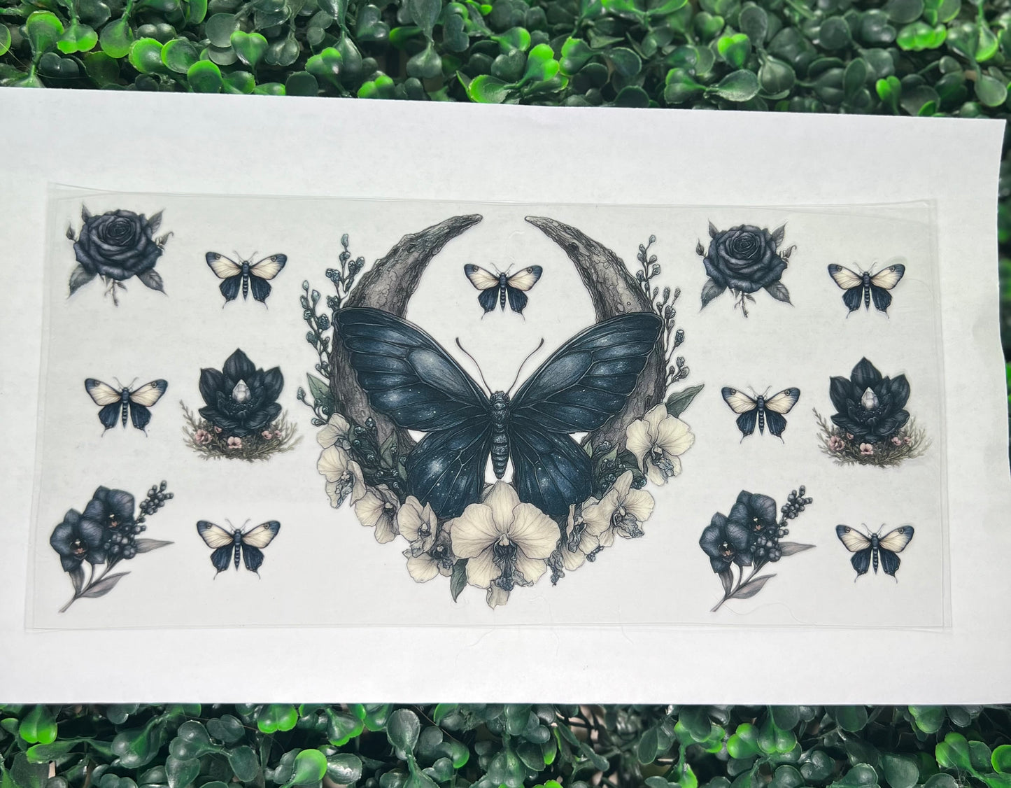 Boho black butterfly