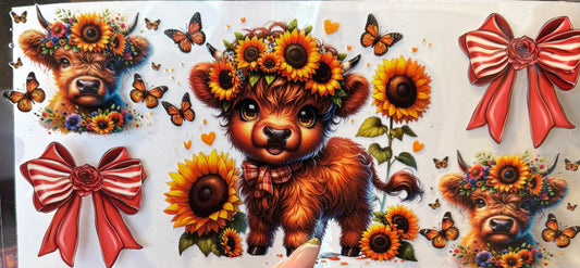 Highland sunflowers cow