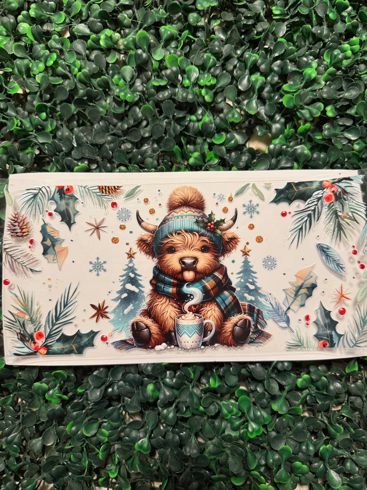 Christmas cow with coco and holly