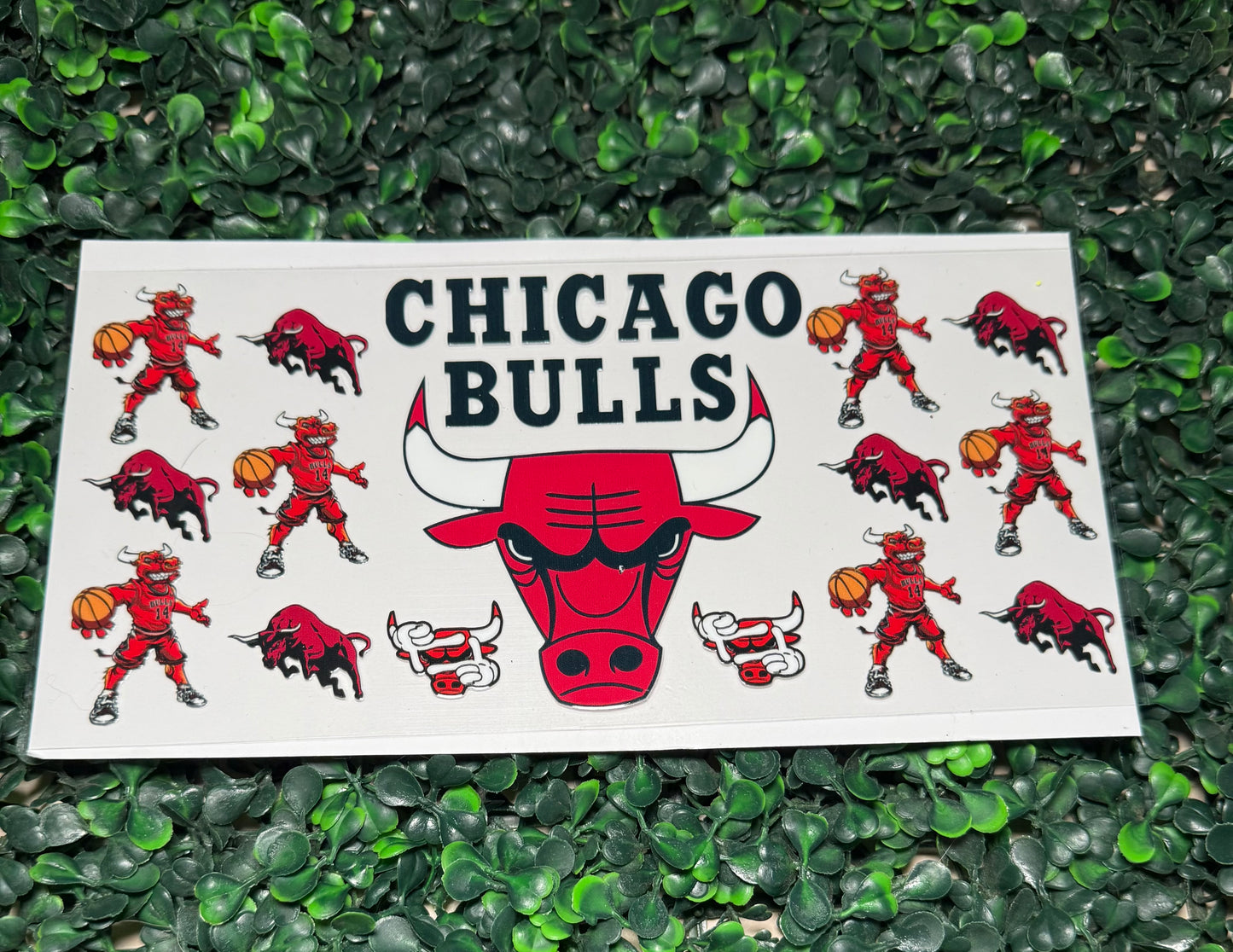 Bulls Chicago