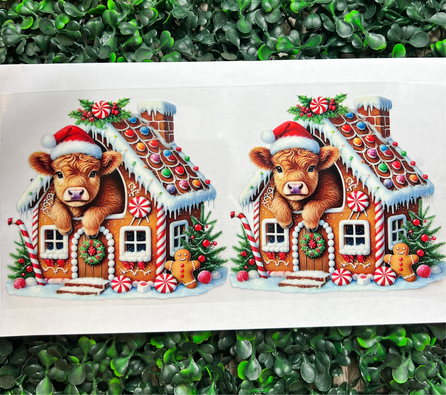 Gingerbread house highland cow wrap