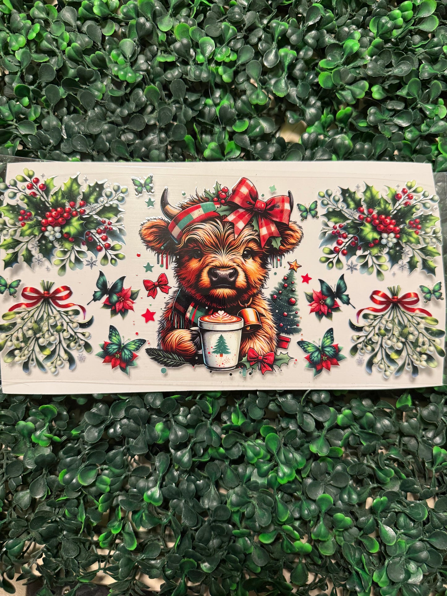 Red and green Christmas cow with coco
