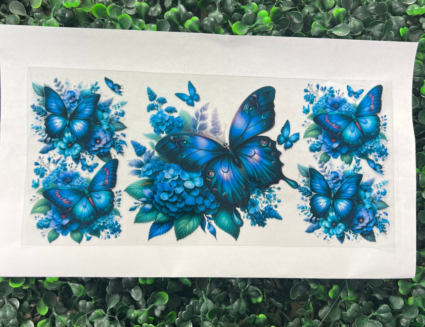 Purple teal butterflies and flowers