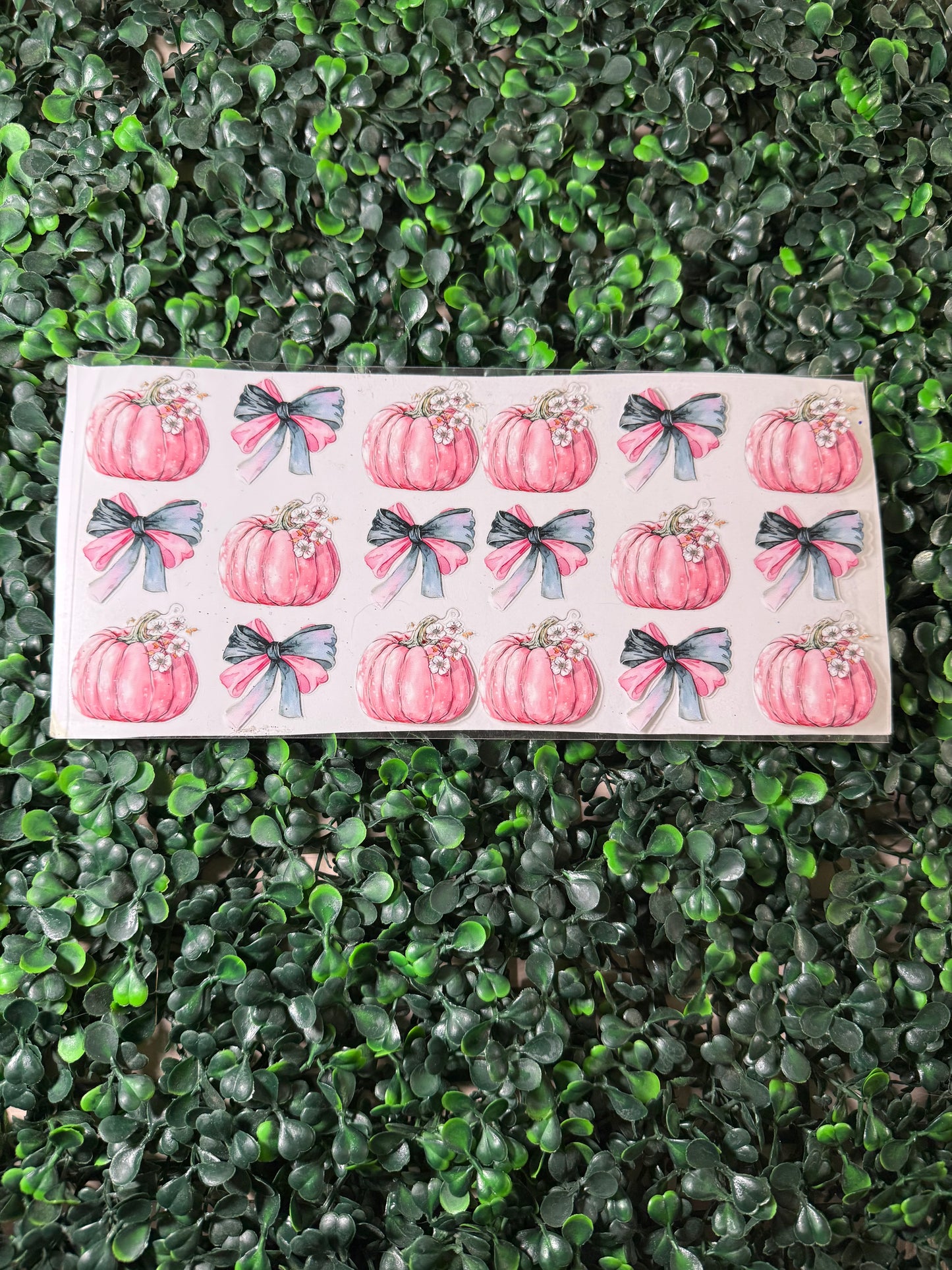 Pumpkin and bows pink and black