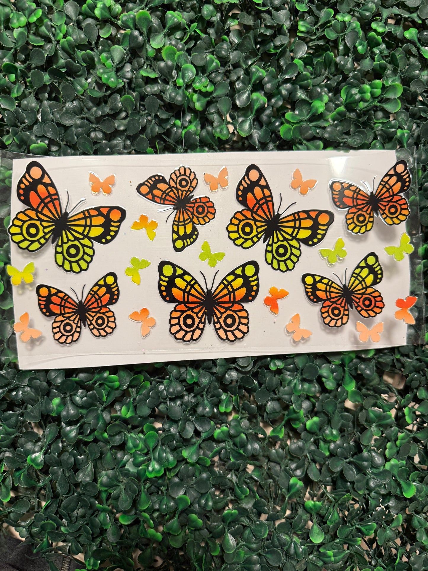 Yellow and orange butterfly butterflies