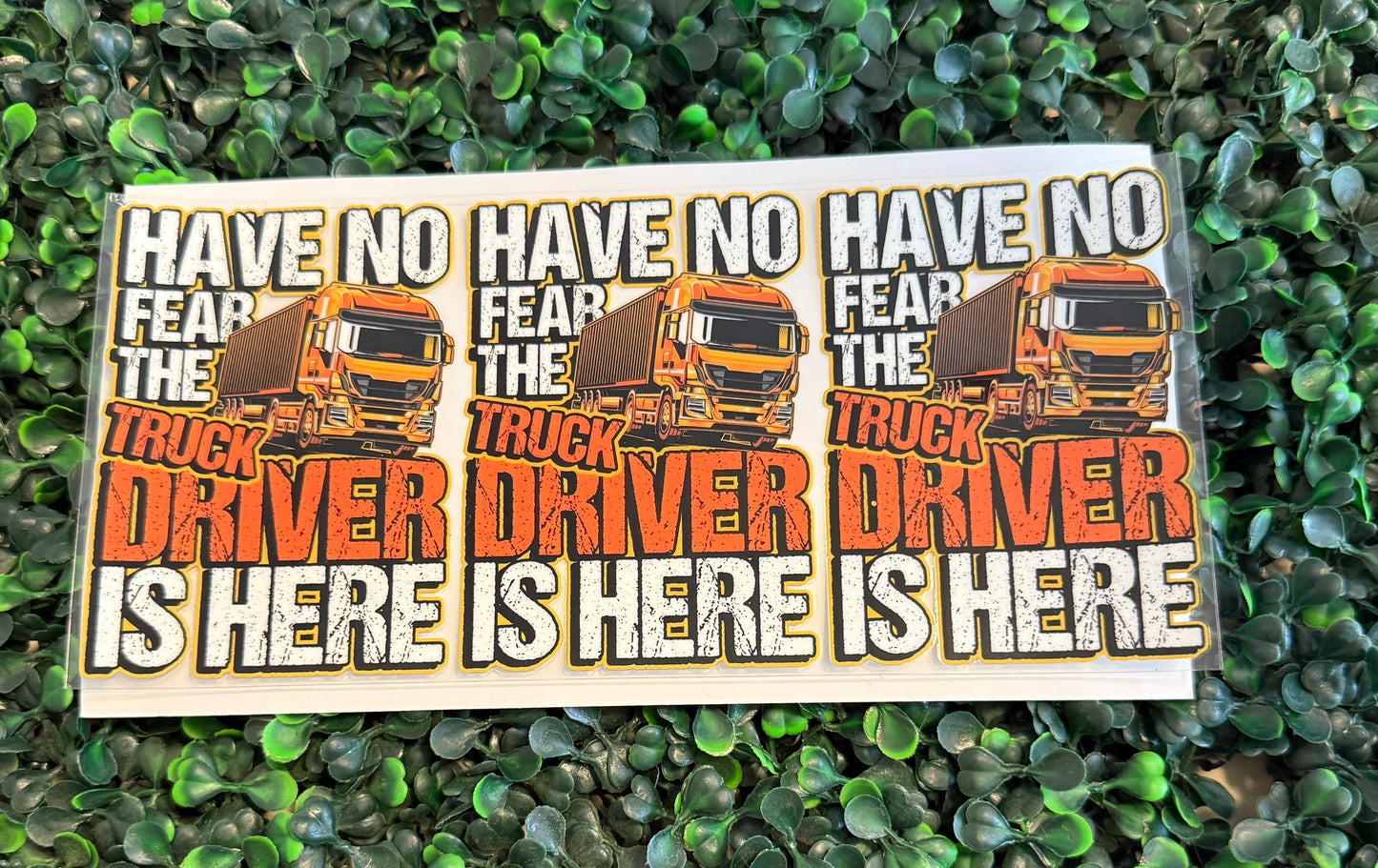 No fear truck driver is here