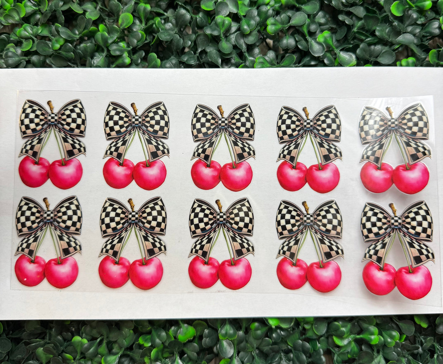 Checkered bows cherry