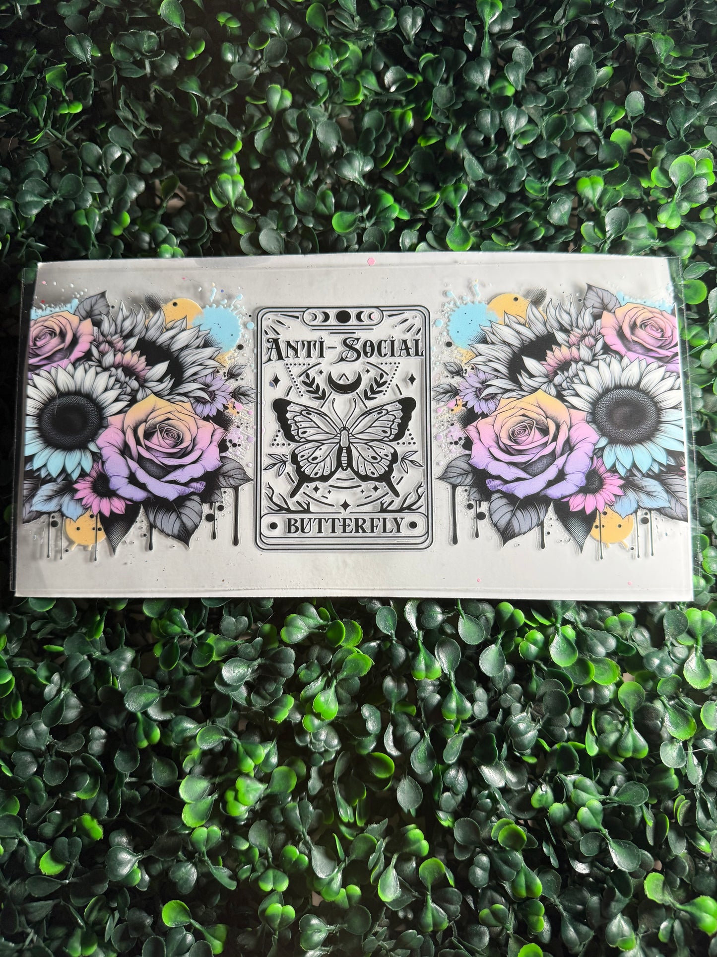 Anti social butterfly