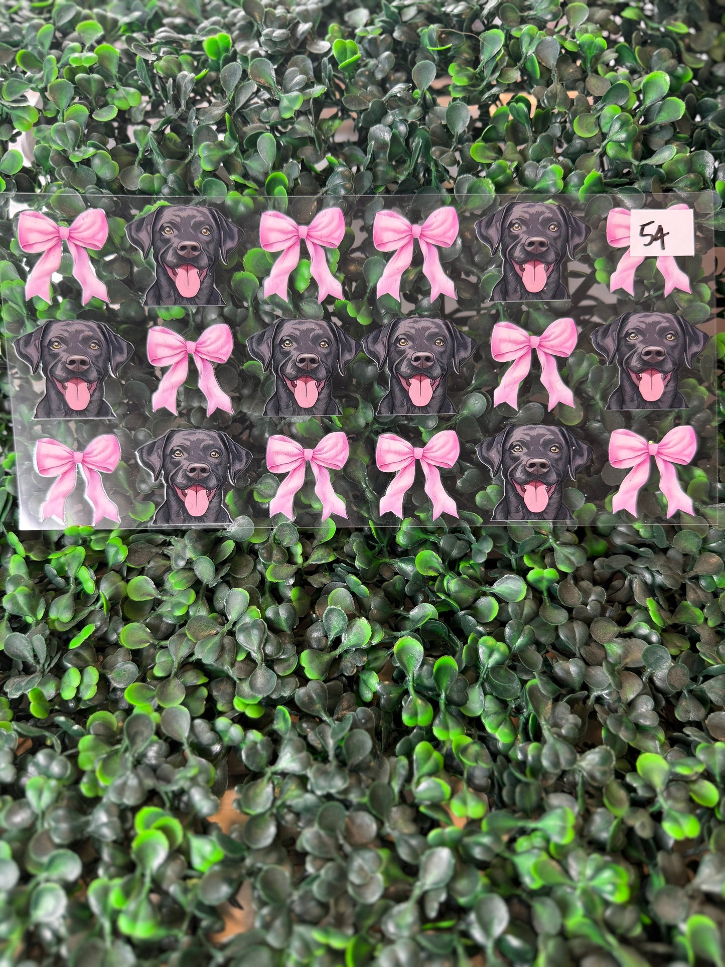 54 Coquette Black lab Decal