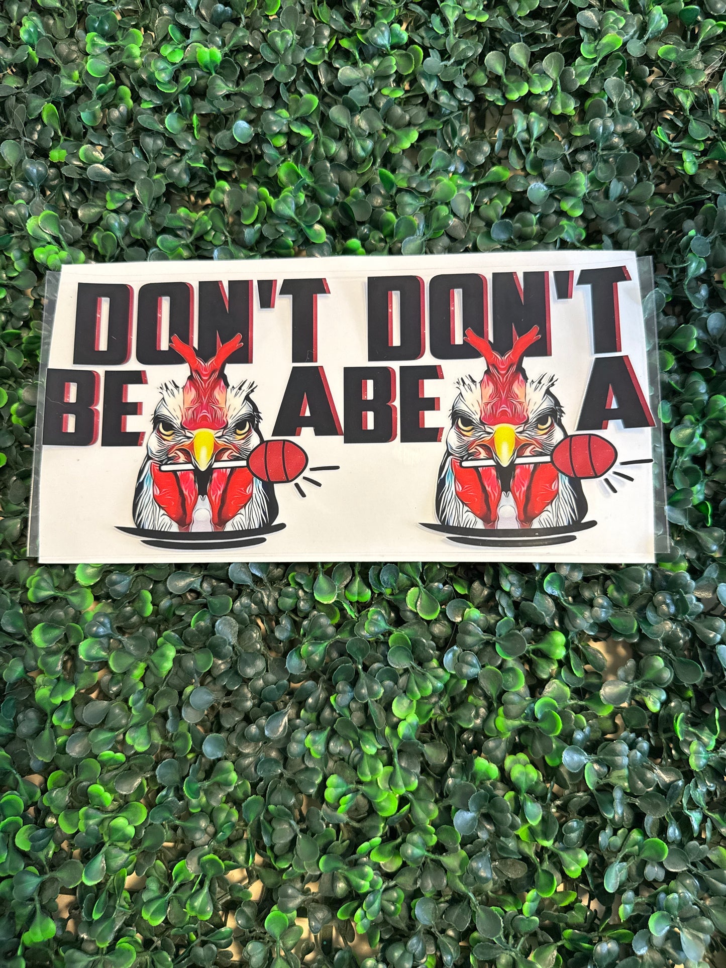 Don’t be a cock sucker chicken