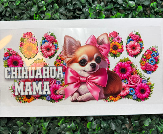 Chihuahua mama dog wrap