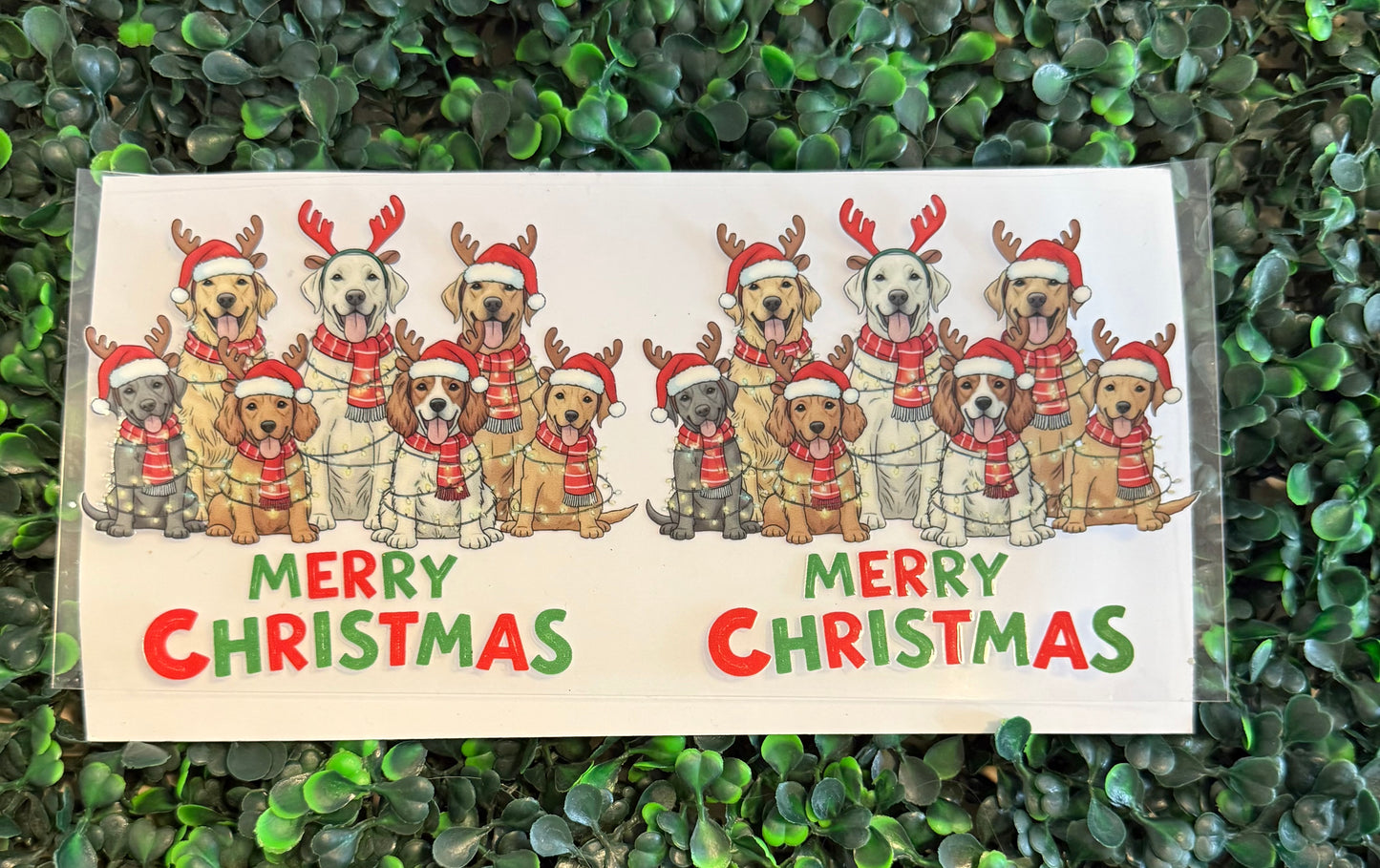 Merry Christmas dogs