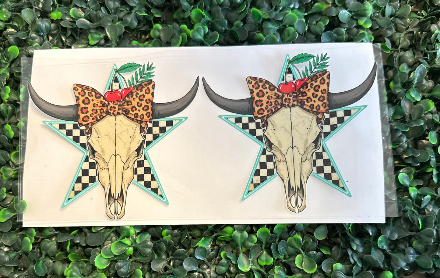 Bull skull with cheetah bow