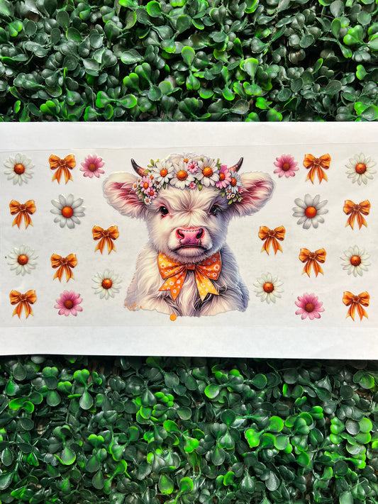 Bows highland cow wrap
