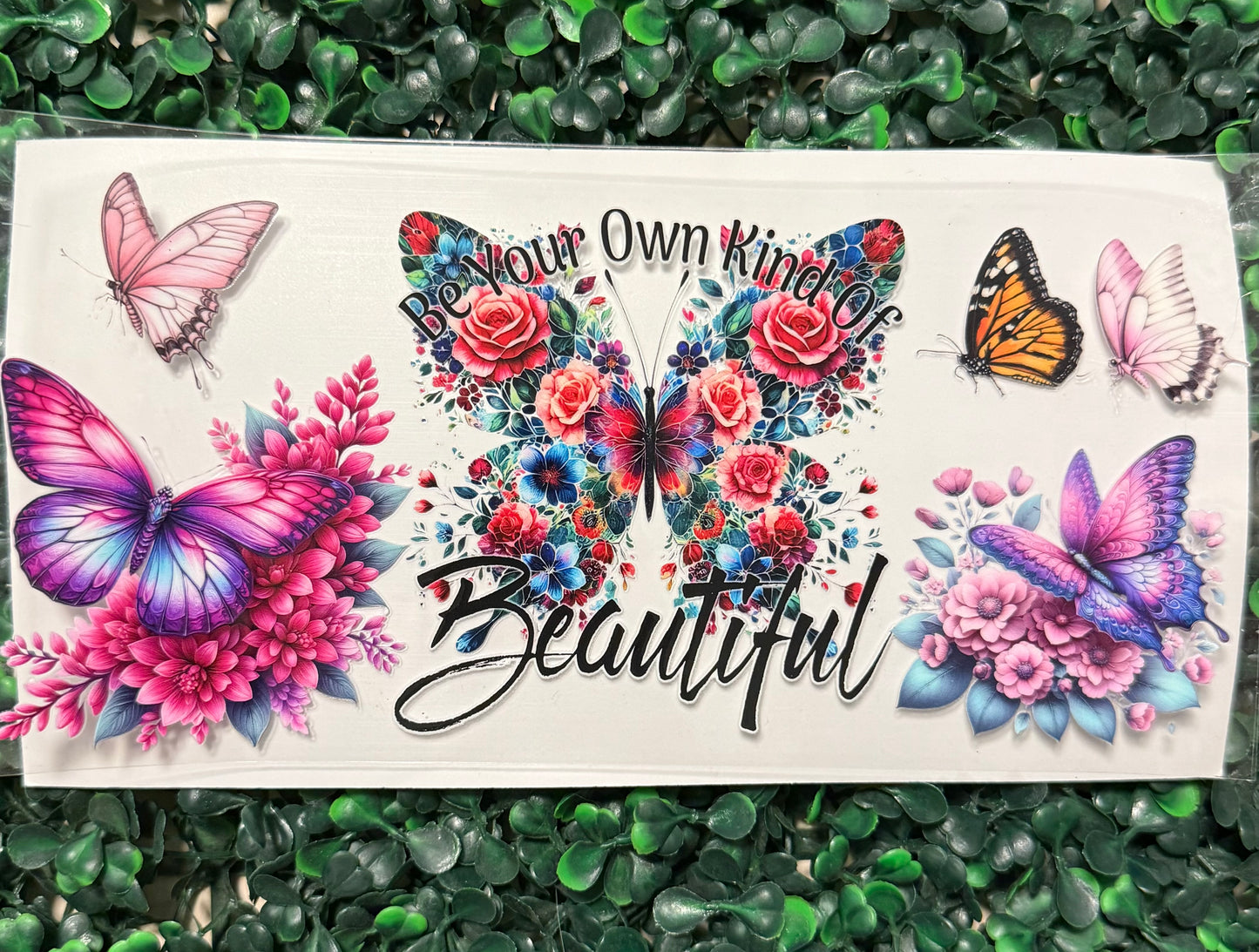 Be your own kind of beautiful butterflies