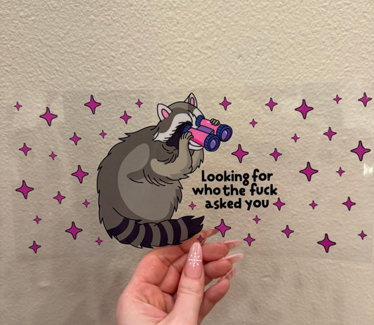 Raccoon looking for who the fuck asked you?