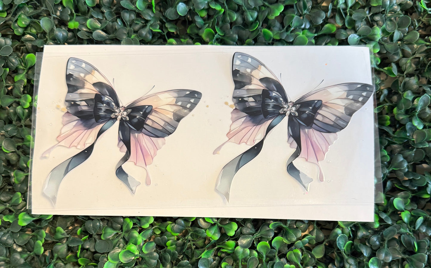 Bow butterflies black and pink