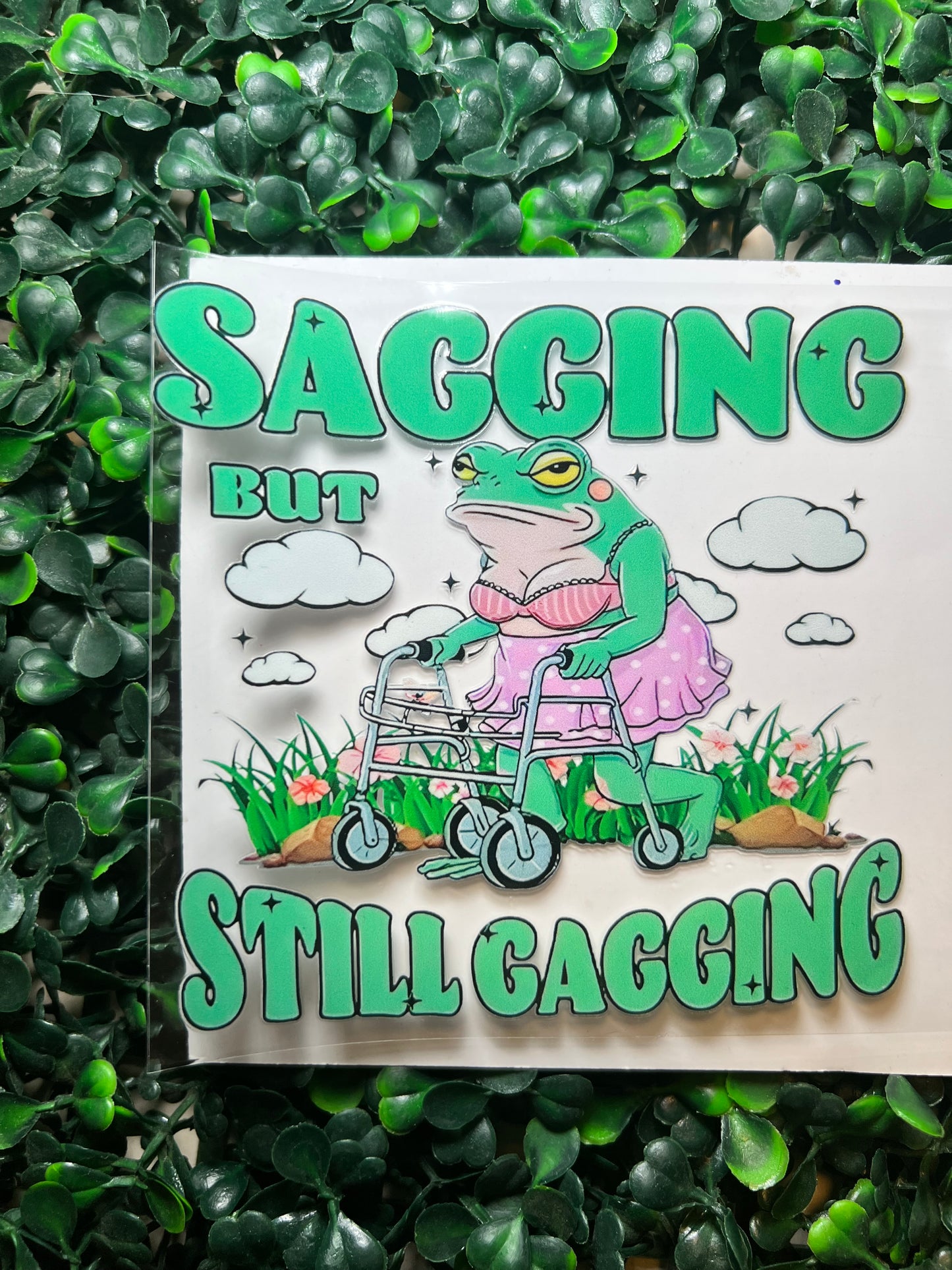 Sagging but still gagging frog