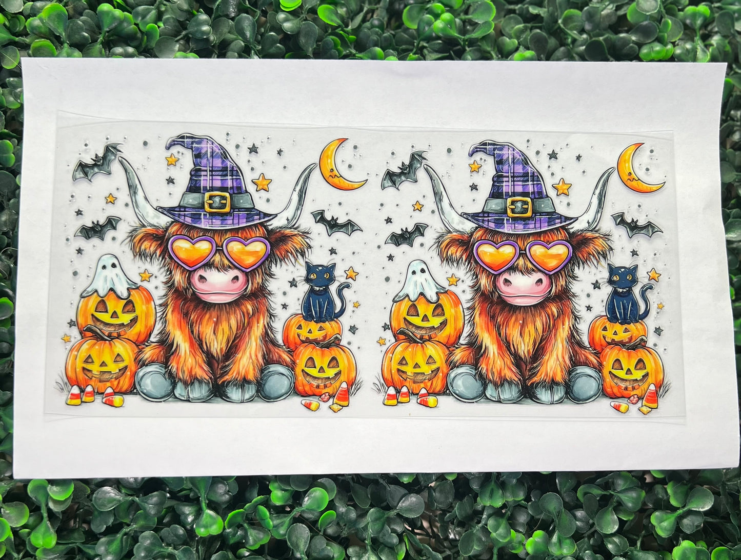 Halloween spooky cow