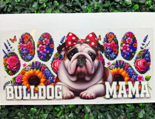 English bulldog dog wrap
