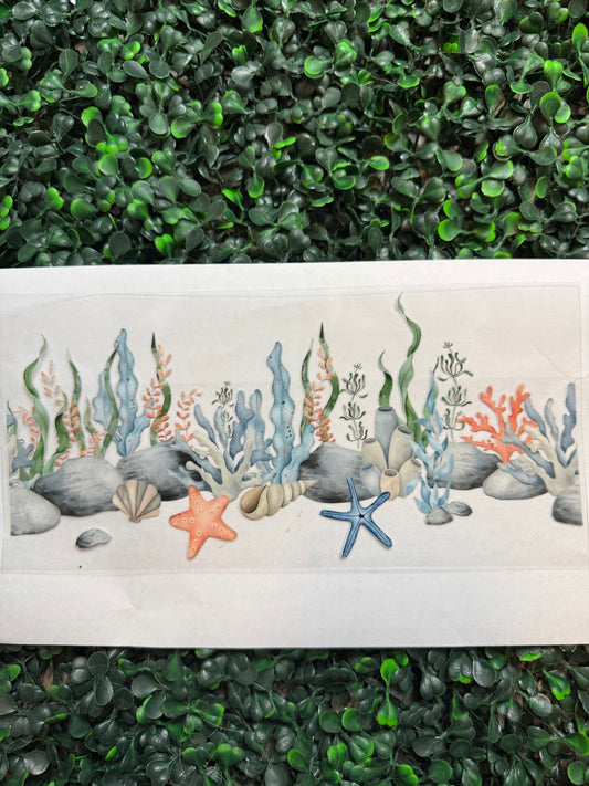 Star fish colored sea weed